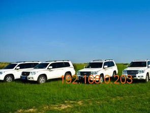 呼倫貝爾汽車(chē)租賃指南 哪里租車(chē)及行情價(jià)格解析